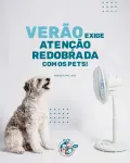 ⚠️ O calor chegou com tudo, e os pets precisam de atenção especial!
Siga essas dicas simples e proteja quem depende de você.
⠀
💧 Dúvidas? Estamos aqui para te orientar.
⠀
📍 Hospital Veterinário Saúde, sempre ao lado de quem ama os animais!
⠀
#VerãoPet #CuidadoComPet #VeterináriaSP #HospitalVeterinárioSaúde #ZonaNorteSP