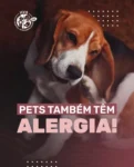 Se seu pet vive coçando, lambendo as patas ou com manchas na pele, pode ser alergia!
😿 Isso pode estar relacionado a:

Ração
Ácaros
Produtos de limpeza
Clima seco

🔬 Alergias precisam de diagnóstico profissional e acompanhamento.

Comenta aqui se seu pet já teve alguma reação alérgica!

#AlergiaPet #VeterináriaSP #HospitalVeterinarioSaude #CuidadosComPet #PetÉFamília