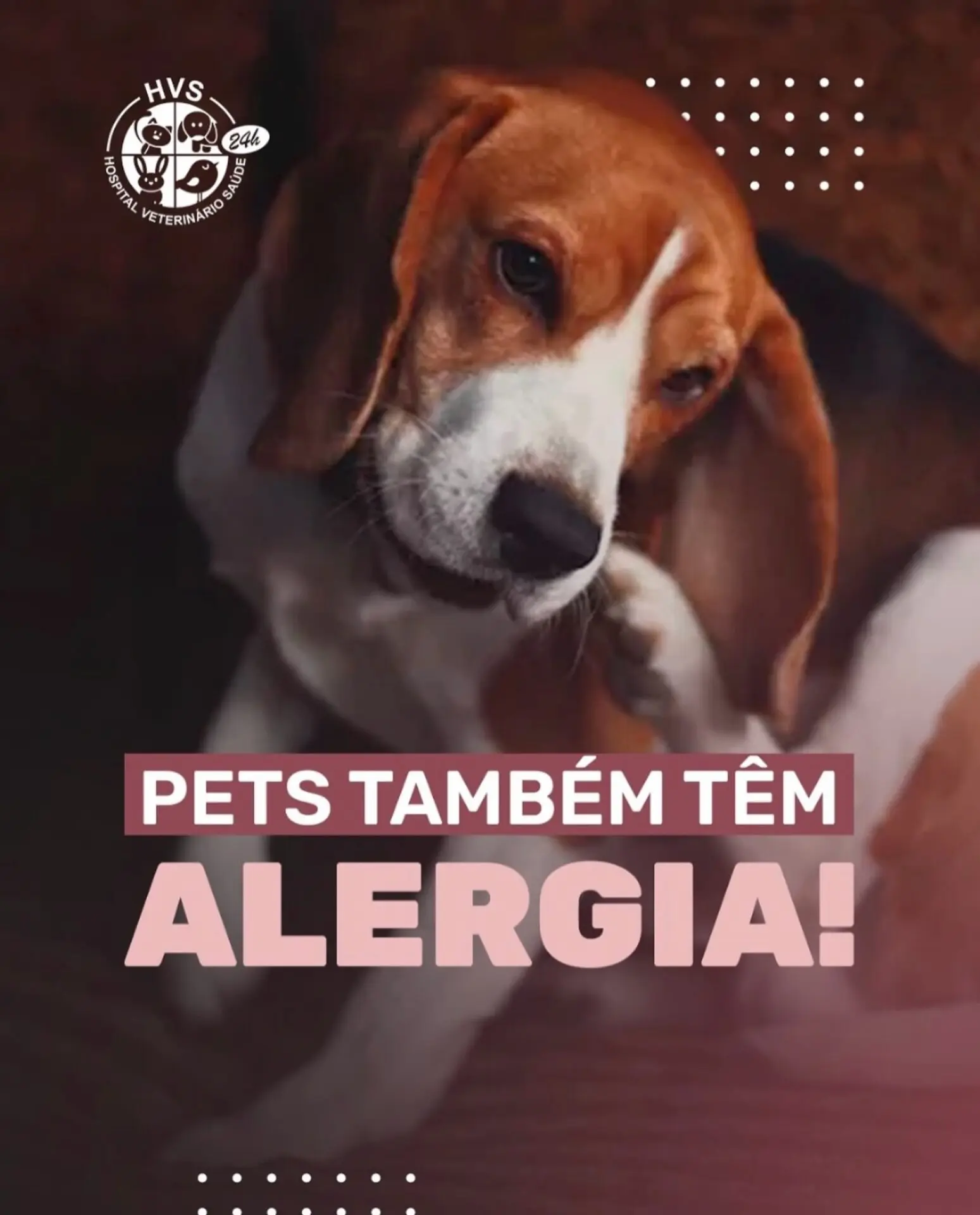 Se seu pet vive coçando, lambendo as patas ou com manchas na pele, pode ser alergia!
😿 Isso pode estar relacionado a:

Ração
Ácaros
Produtos de limpeza
Clima seco

🔬 Alergias precisam de diagnóstico profissional e acompanhamento.

Comenta aqui se seu pet já teve alguma reação alérgica!

#AlergiaPet #VeterináriaSP #HospitalVeterinarioSaude #CuidadosComPet #PetÉFamília