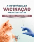 💉 A vacinação é vital para a saúde de cães e gatos. Saiba mais sobre a importância da vacinação conosco!

Prevenção de doenças: Vacinas protegem cães e gatos de uma série de doenças graves e potencialmente fatais, como raiva, parvovirose, cinomose e leucemia felina.
Saúde pública: Algumas doenças podem ser transmitidas de animais para humanos. Ao vacinar seu pet, você também está protegendo a sua família e a comunidade.

Redução de custos: Prevenir uma doença através da vacinação é geralmente mais barato e menos estressante do que o tratamento da doença depois que ela ocorre.

Obrigação legal: Em muitos lugares, certas vacinas, como a vacina contra a raiva, são exigidas por lei.

Venha nos conhecer 📍
Rua Nossa Senhora da Saúde, 366
Jd. Previdência – Zona Sul- São Paulo – SP