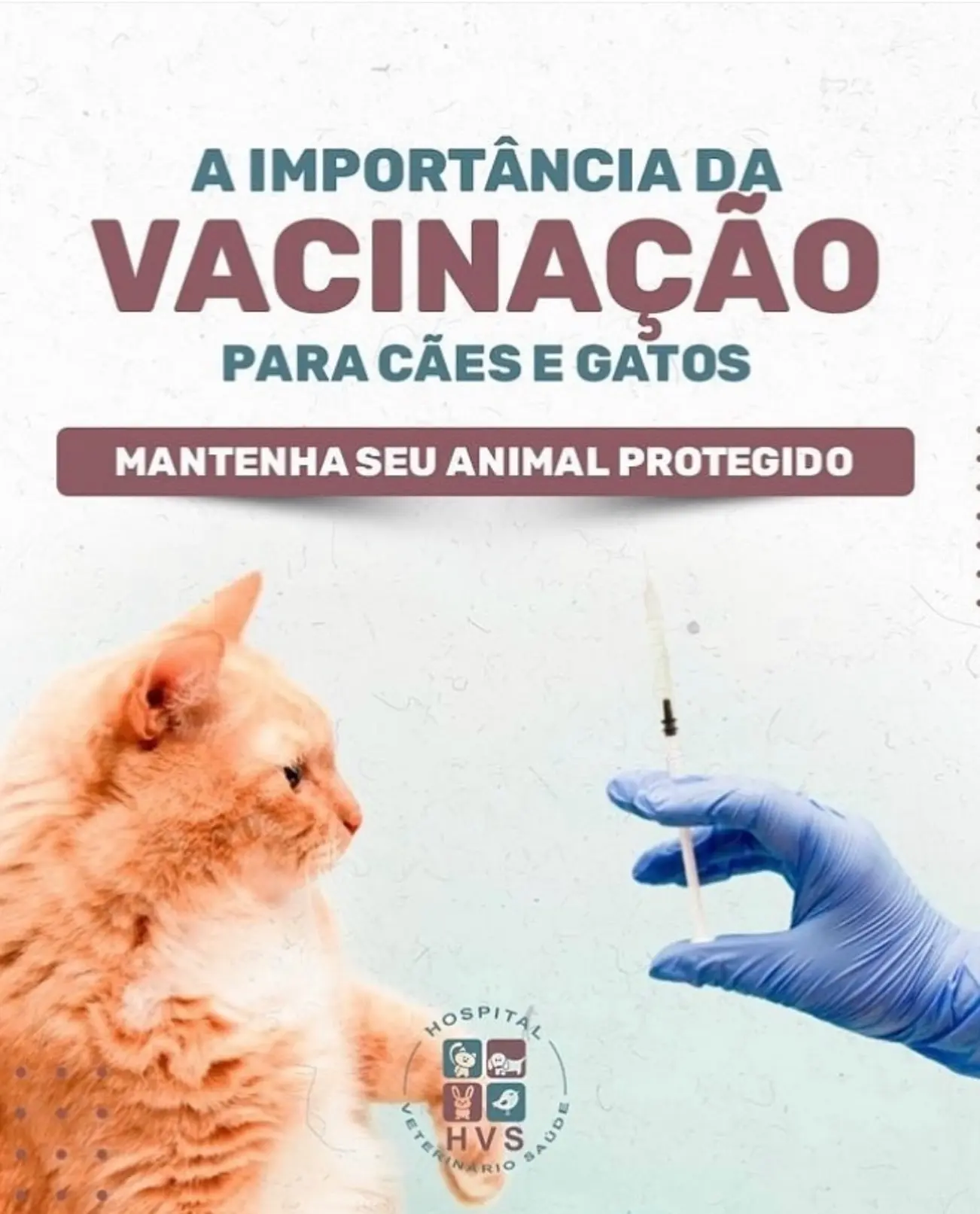 💉 A vacinação é vital para a saúde de cães e gatos. Saiba mais sobre a importância da vacinação conosco!

Prevenção de doenças: Vacinas protegem cães e gatos de uma série de doenças graves e potencialmente fatais, como raiva, parvovirose, cinomose e leucemia felina.
Saúde pública: Algumas doenças podem ser transmitidas de animais para humanos. Ao vacinar seu pet, você também está protegendo a sua família e a comunidade.

Redução de custos: Prevenir uma doença através da vacinação é geralmente mais barato e menos estressante do que o tratamento da doença depois que ela ocorre.

Obrigação legal: Em muitos lugares, certas vacinas, como a vacina contra a raiva, são exigidas por lei.

Venha nos conhecer 📍
Rua Nossa Senhora da Saúde, 366
Jd. Previdência – Zona Sul- São Paulo – SP