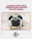 Aquele olhar que derrete até o coração mais gelado. 🥺 #NãoMeDeixe #EuTambémQueroIr