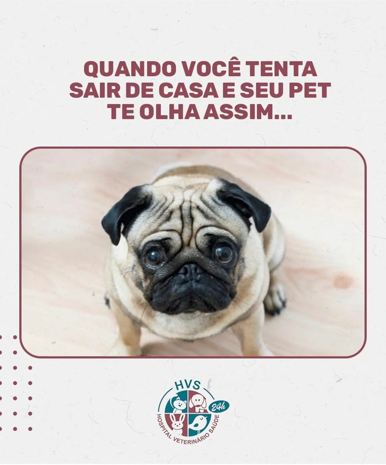 Aquele olhar que derrete até o coração mais gelado. 🥺 #NãoMeDeixe #EuTambémQueroIr
