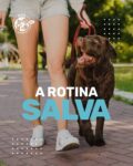 Horário de comer, de passear, de brincar e de descansar.
Pra você pode parecer simples… mas pro seu pet, é tudo.

🐾 Rotina é segurança. É estabilidade emocional.

📲 Organize a rotina dele e sempre que precisar, conte com a gente!

#PetComRotina #CuidadoDiário #HospitalVeterinarioSaude #VeterináriaComAmor