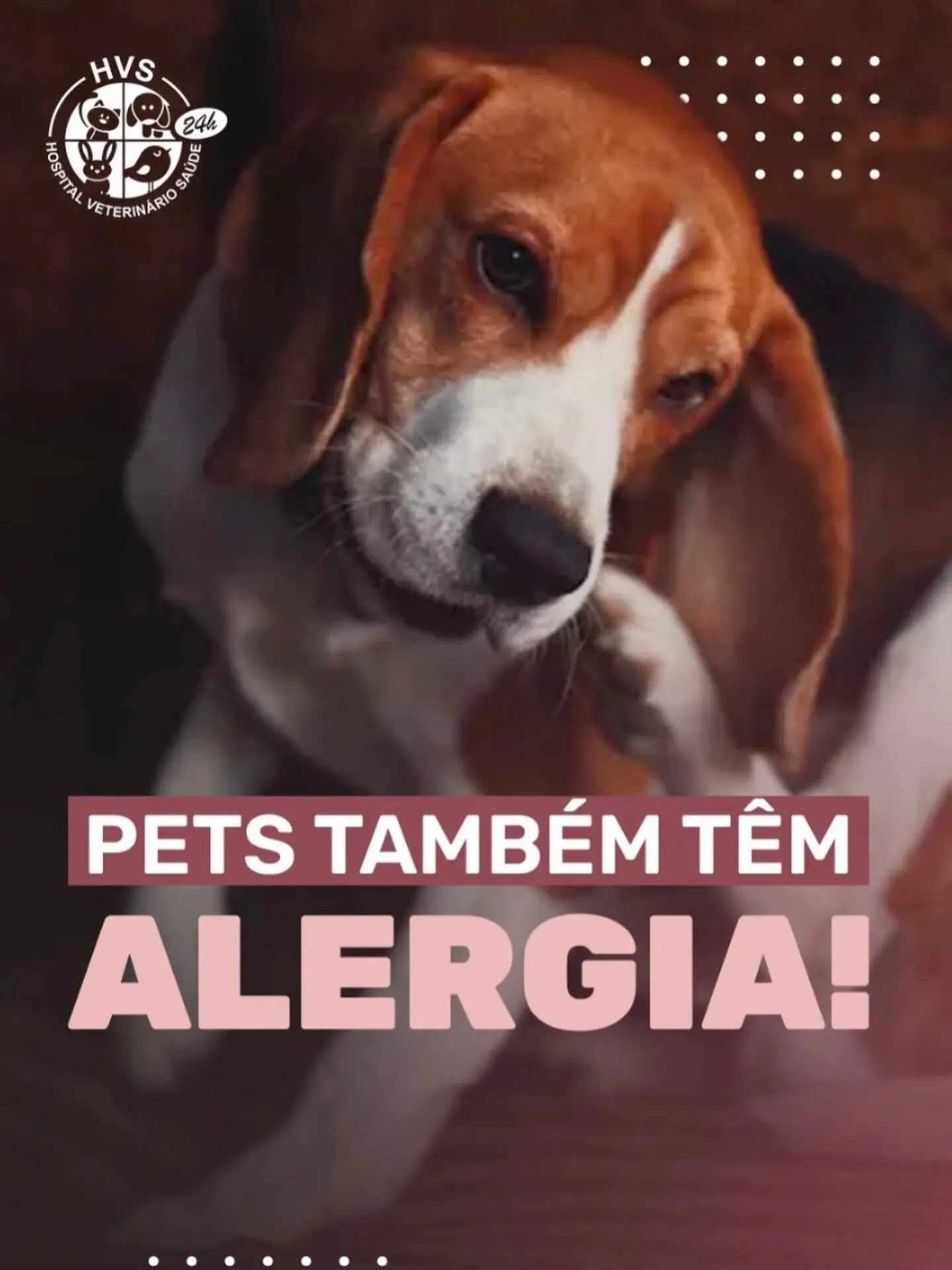Se seu pet vive coçando, lambendo as patas ou com manchas na pele, pode ser alergia!
😿 Isso pode estar relacionado a:
Ração
Ácaros
Produtos de limpeza
Clima seco
🔬 Alergias precisam de diagnóstico profissional e acompanhamento.
Comenta aqui se seu pet já teve alguma reação alérgica!
#AlergiaPet #VeterináriaSP #HospitalVeterinarioSaude #CuidadosComPet #PetÉFamília