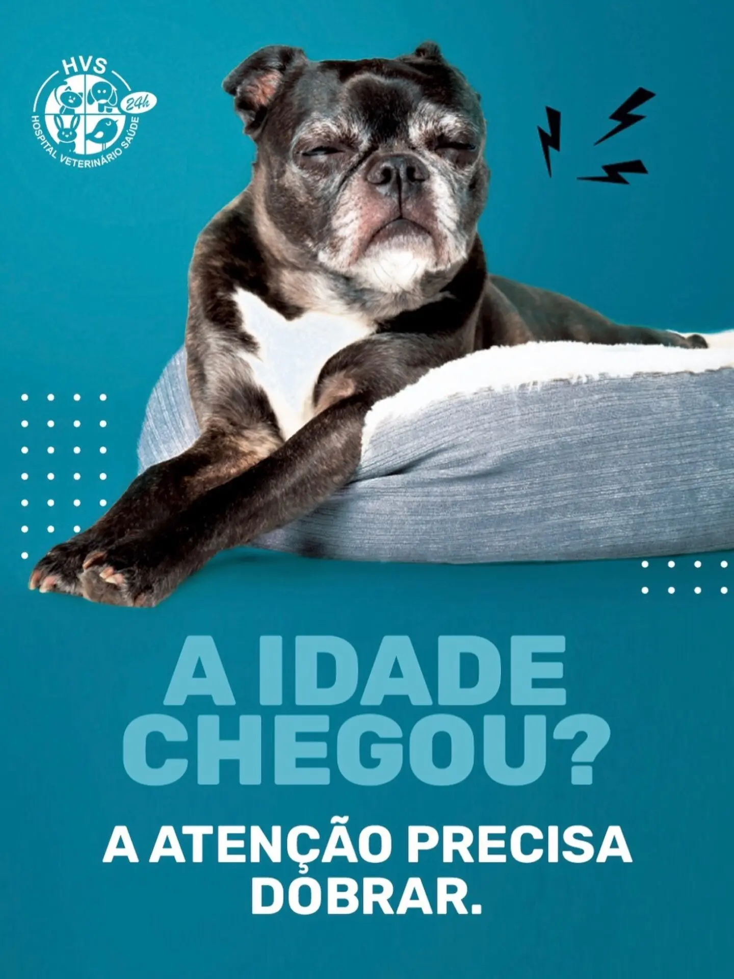 Pets idosos precisam de acompanhamento constante.
Mais exames, cuidados com articulações, alimentação especial...
👴🐶 A longevidade começa com o cuidado certo!
Seu pet já é sênior? Agende uma avaliação geriátrica com a gente!
#PetIdoso #VeterináriaSP #HospitalVeterinarioSaude #SaúdeAnimal