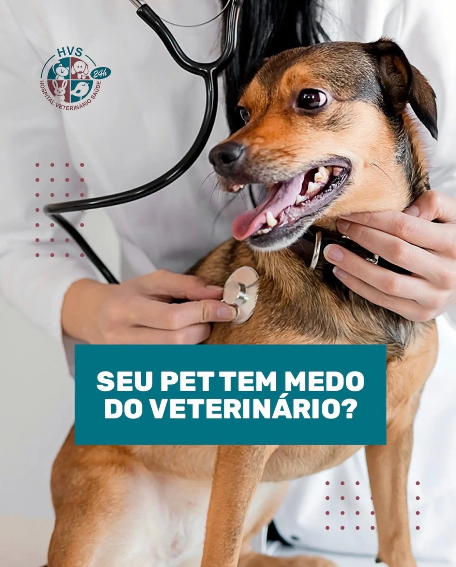 A gente entende. E sabe acolher.
Ambiente calmo, atendimento gentil e muito carinho.

📲 Traga seu pet pra ser cuidado com amor.
#MedoDeVet #VeterinariaHumanizada #HospitalVeterinarioSaude