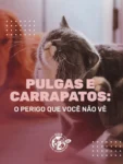 Além do incômodo, pulgas e carrapatos transmitem doenças graves como a erliquiose.

🦠 Prevenção é o melhor caminho!

Use antipulgas regularmente e mantenha consultas em dia.
Salve esse post pra não esquecer!