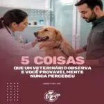 É comum ouvir:
“Mas ele parecia tão bem.”
E, na maioria das vezes, ele realmente parecia.
O que poucas pessoas imaginam é que uma consulta começa muito antes do estetoscópio.
Enquanto conversamos com o tutor, já estamos observando como o animal entra na sala, como respira, como apoia as patas no chão, como reage aos estímulos e até como olha ao redor.
São pequenos detalhes que, juntos, contam uma história.
É por isso que uma consulta de rotina tem tanto valor.
Ela não existe apenas para tratar doenças.
Ela existe para perceber mudanças antes que elas se transformem em um problema maior.
Quanto mais cedo enxergamos essas alterações, maiores são as possibilidades de oferecer qualidade de vida ao seu pet.
📍No Hospital Veterinário Saúde acreditamos que cuidar começa na observação.
📲 Agende uma avaliação preventiva.
#HospitalVeterinarioSaude #VeterinariaSP #SaudePet #CheckupPet #PetÉFamilia