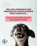 Existe uma pergunta que parece simples, mas muda completamente uma consulta.

“Ele sempre foi assim?”

Porque não tratamos apenas sintomas.

Nós observamos mudanças.

Quem convive todos os dias com um animal percebe detalhes que nenhum exame consegue mostrar.

Uma caminhada diferente.

Um jeito novo de dormir.

Uma reação incomum.

Tudo isso ajuda a montar o quebra-cabeça da saúde do seu pet.

Nunca subestime aquilo que você percebe em casa.

Na maioria das vezes, é justamente ali que começa um bom diagnóstico.

📍Hospital Veterinário Saúde

#HospitalVeterinarioSaude #VeterinariaSP #SaudePet #PetÉFamilia