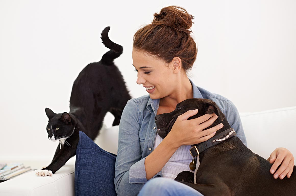 Mulher sentada no sofá abraçando cão preto enquanto um gato preto está ao lado
