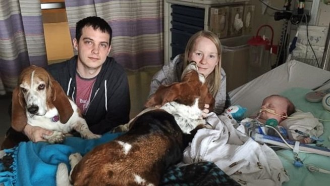 Família com dois cães ao lado de bebê em quarto hospitalar