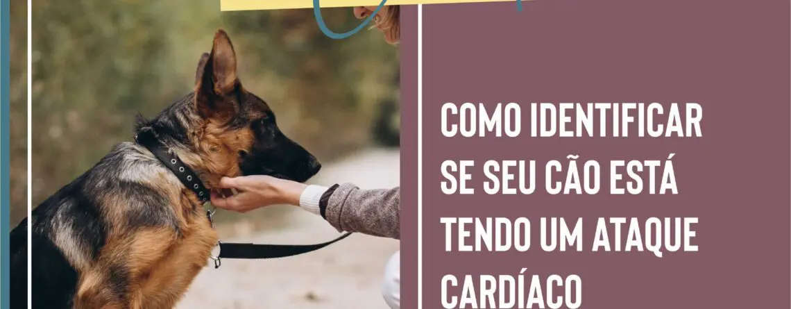 Ataque cardíaco em cachorros