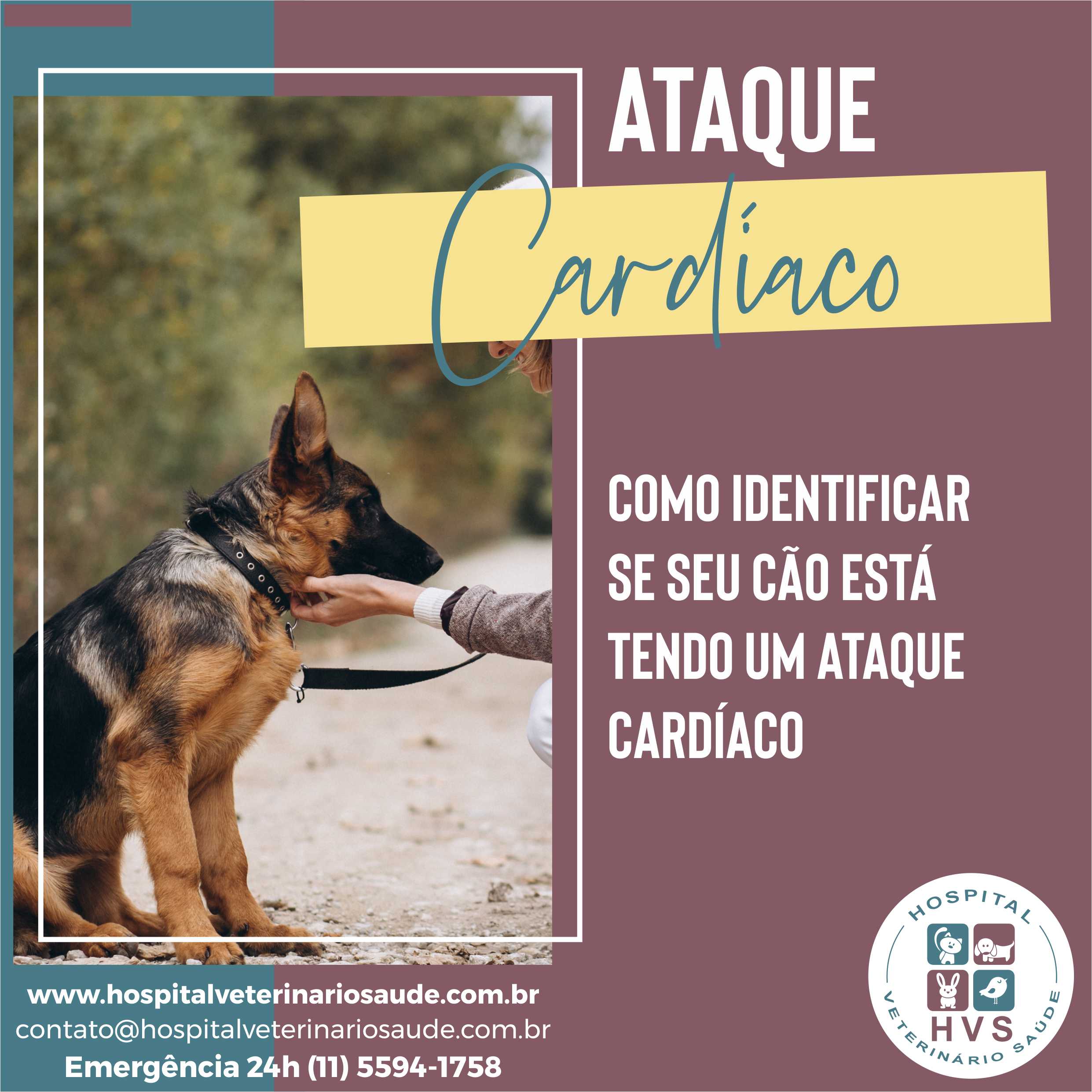 Ataque cardíaco em cachorros