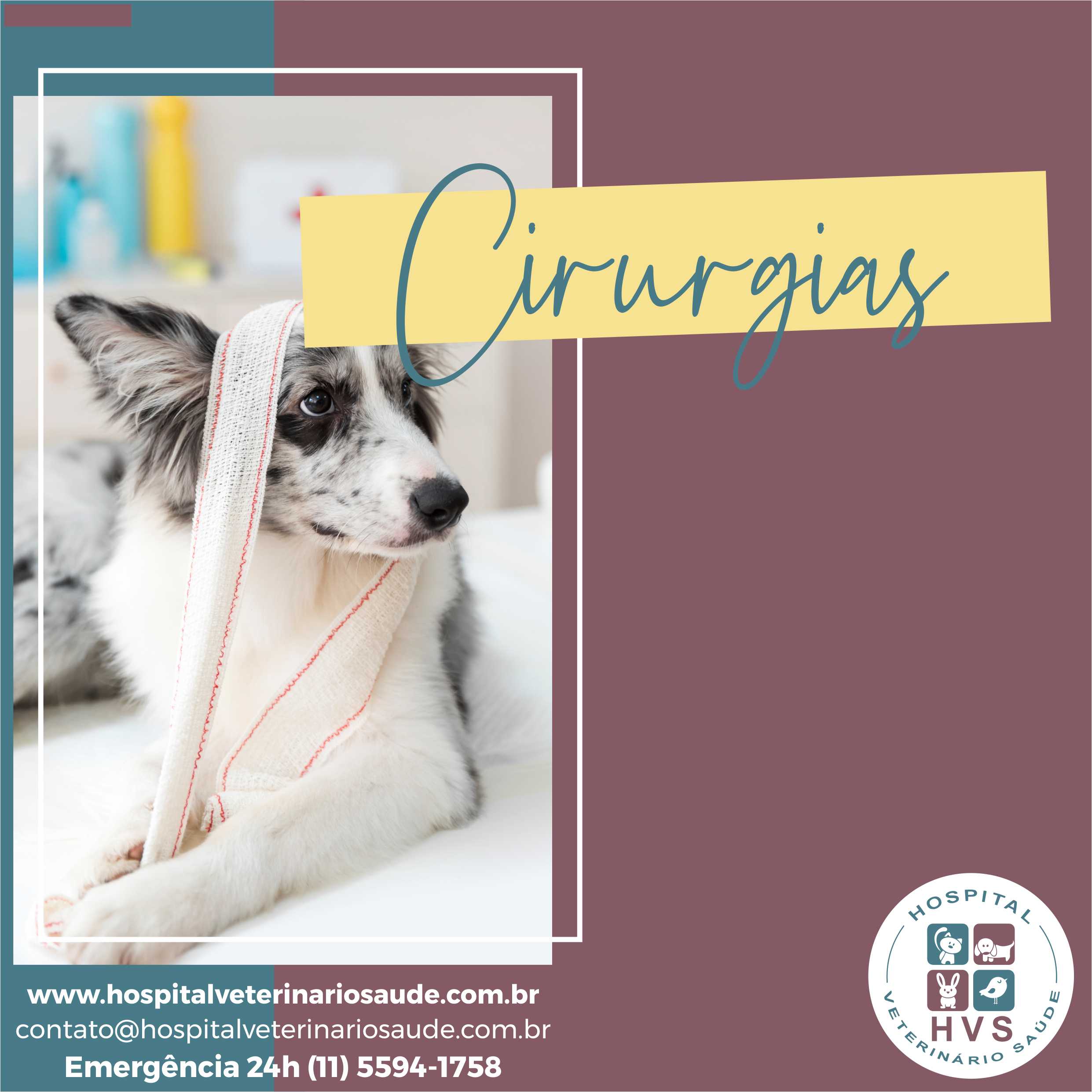 Arte do Hospital Veterinário Saúde com cão usando faixa e o texto Cirurgias