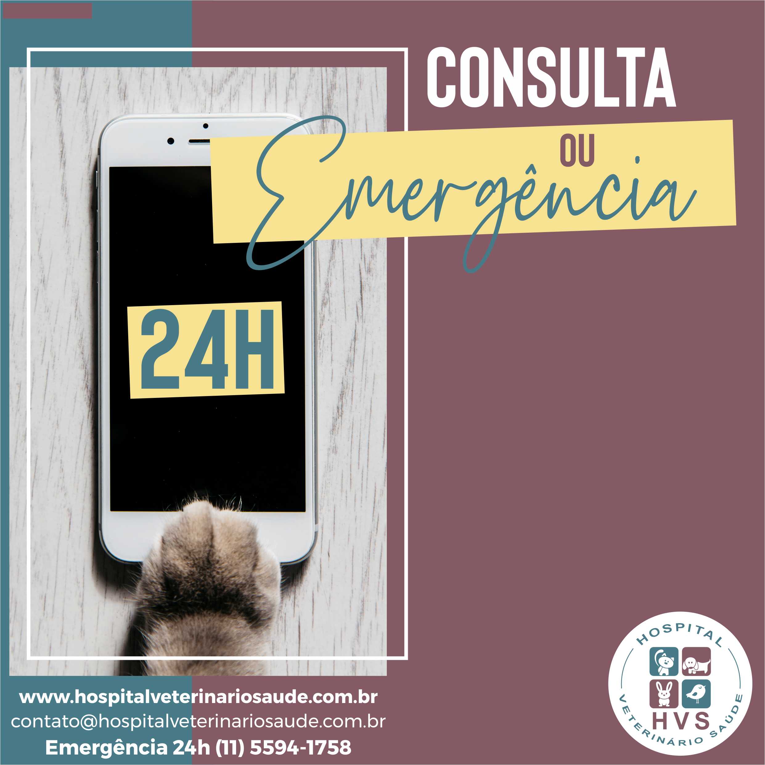 COnsulta ou Emergência Veterinária 24h