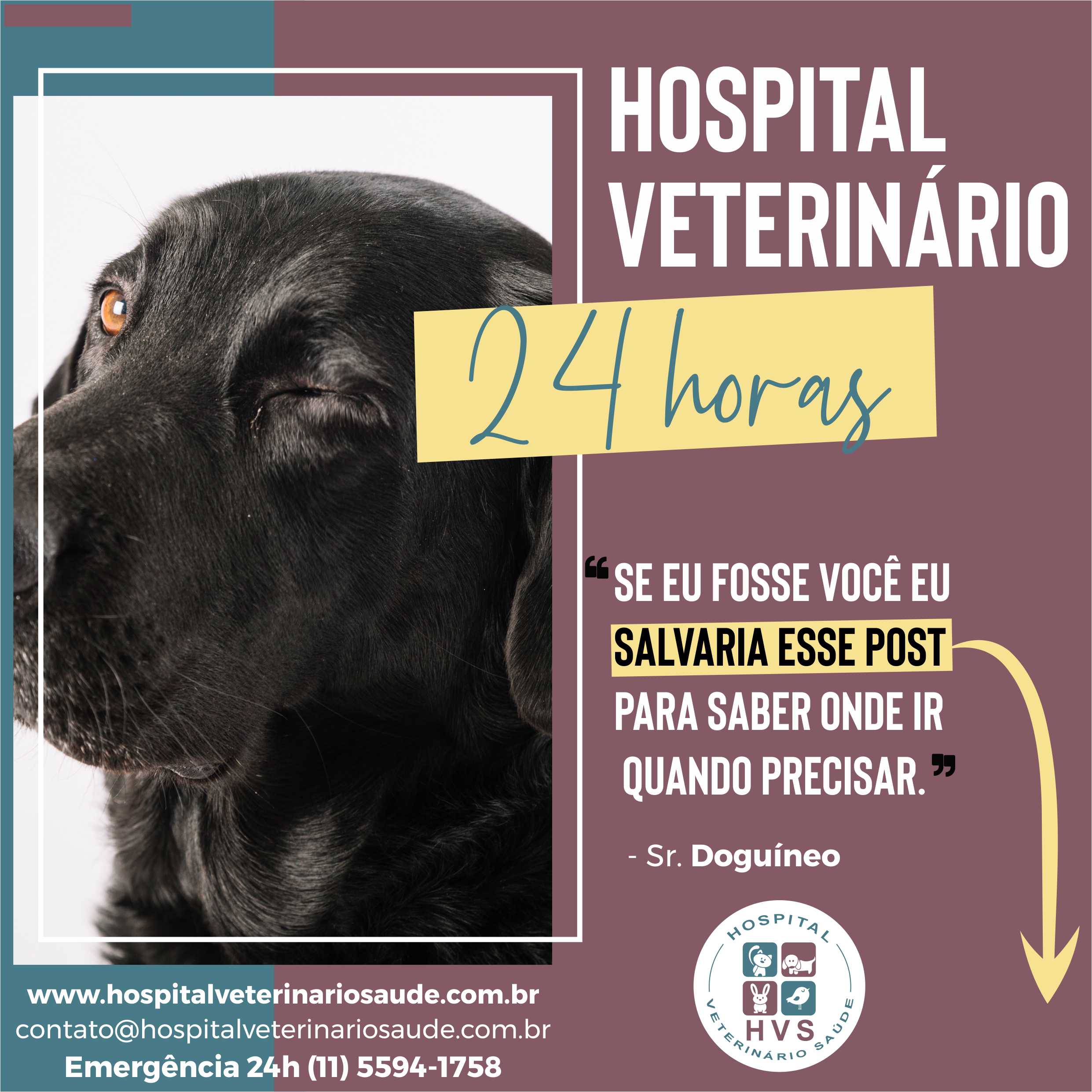 Banho e Tosa 24 Horas - Hospital Veterinário São Paulo Clinica