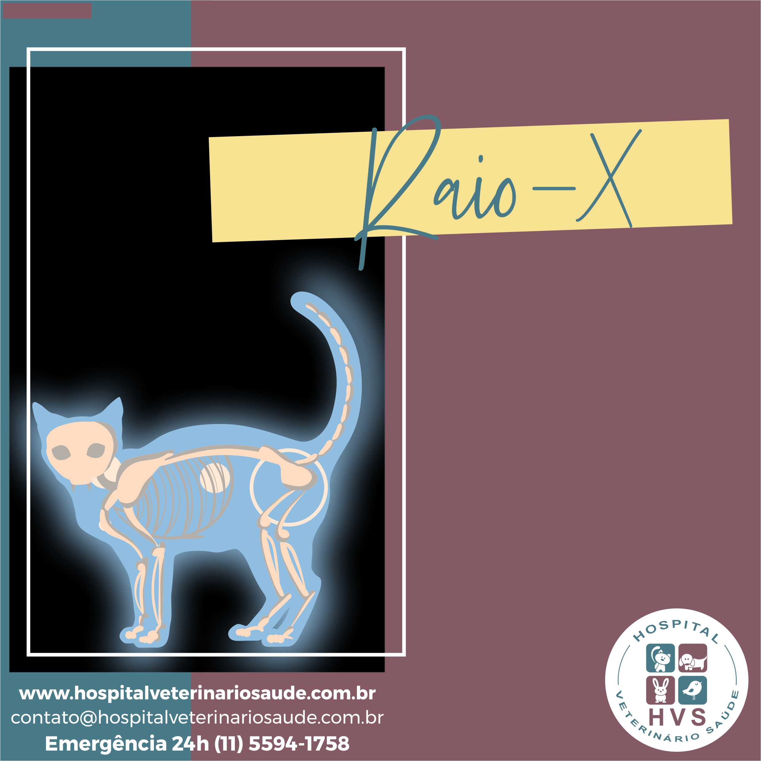 Raio X Veterinário 24 Horas Hvs Hospital Veterinário Saúde