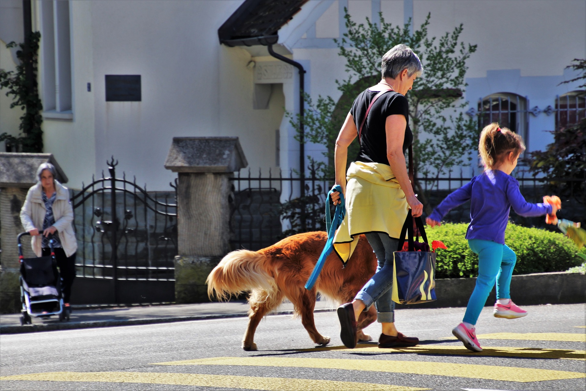 Dog Walker
