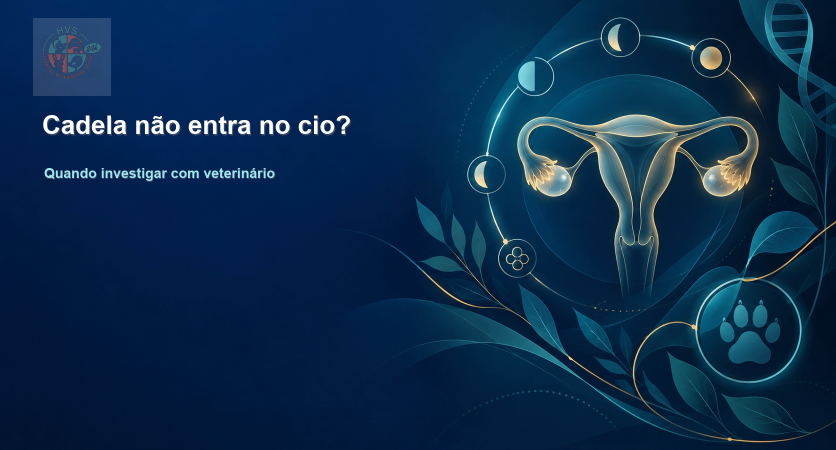 Card institucional: Cadela não entra no cio? Quando investigar com veterinário