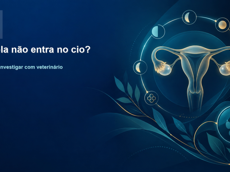 Card institucional: Cadela não entra no cio? Quando investigar com veterinário