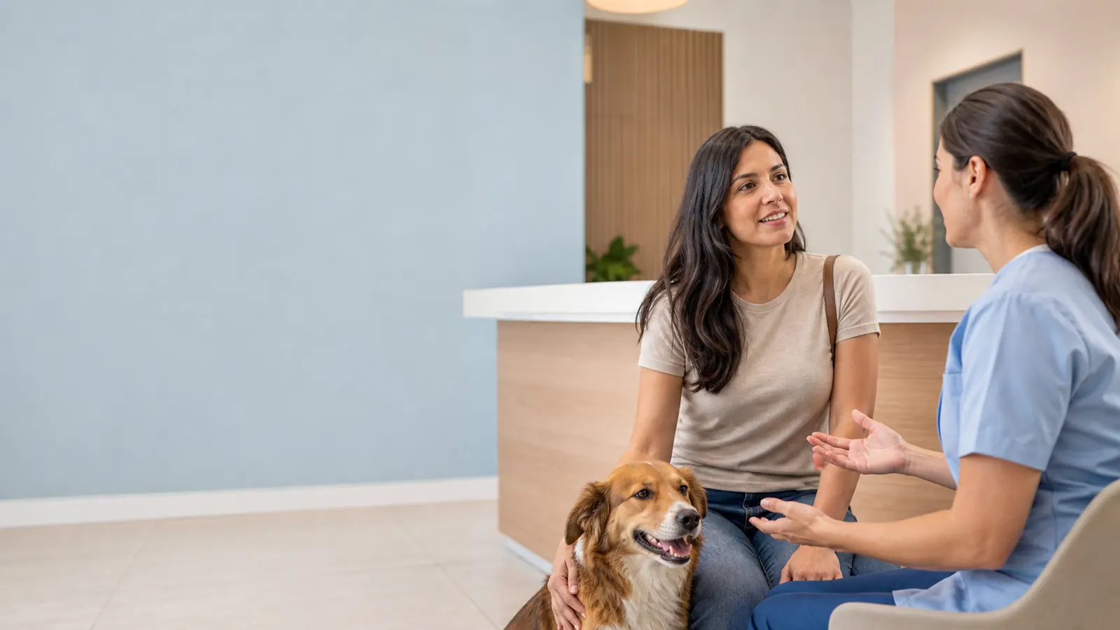 Tutora e cão em consulta veterinária para avaliação inicial