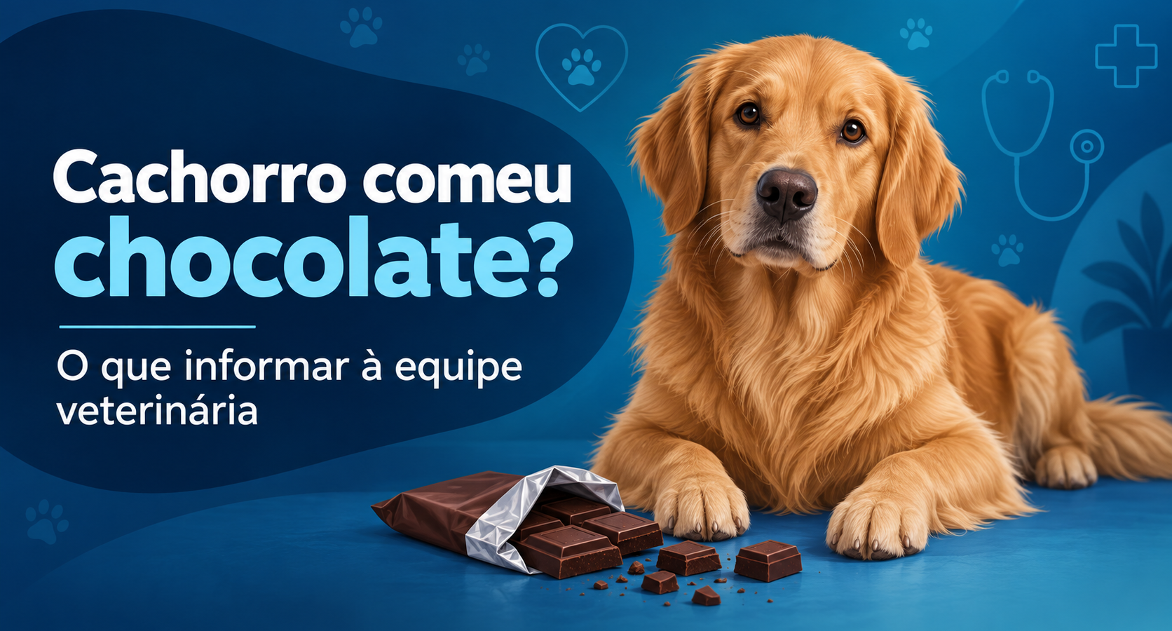 Ilustração editorial de cachorro ao lado de chocolate, com orientação para informar a equipe veterinária