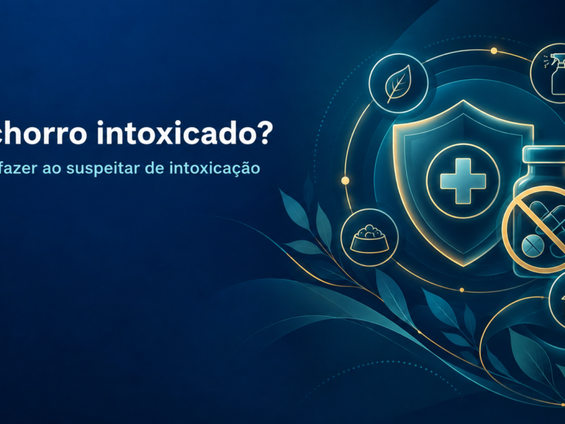 Ilustração editorial sobre suspeita de intoxicação em cachorro, com escudo de proteção e símbolos veterinários