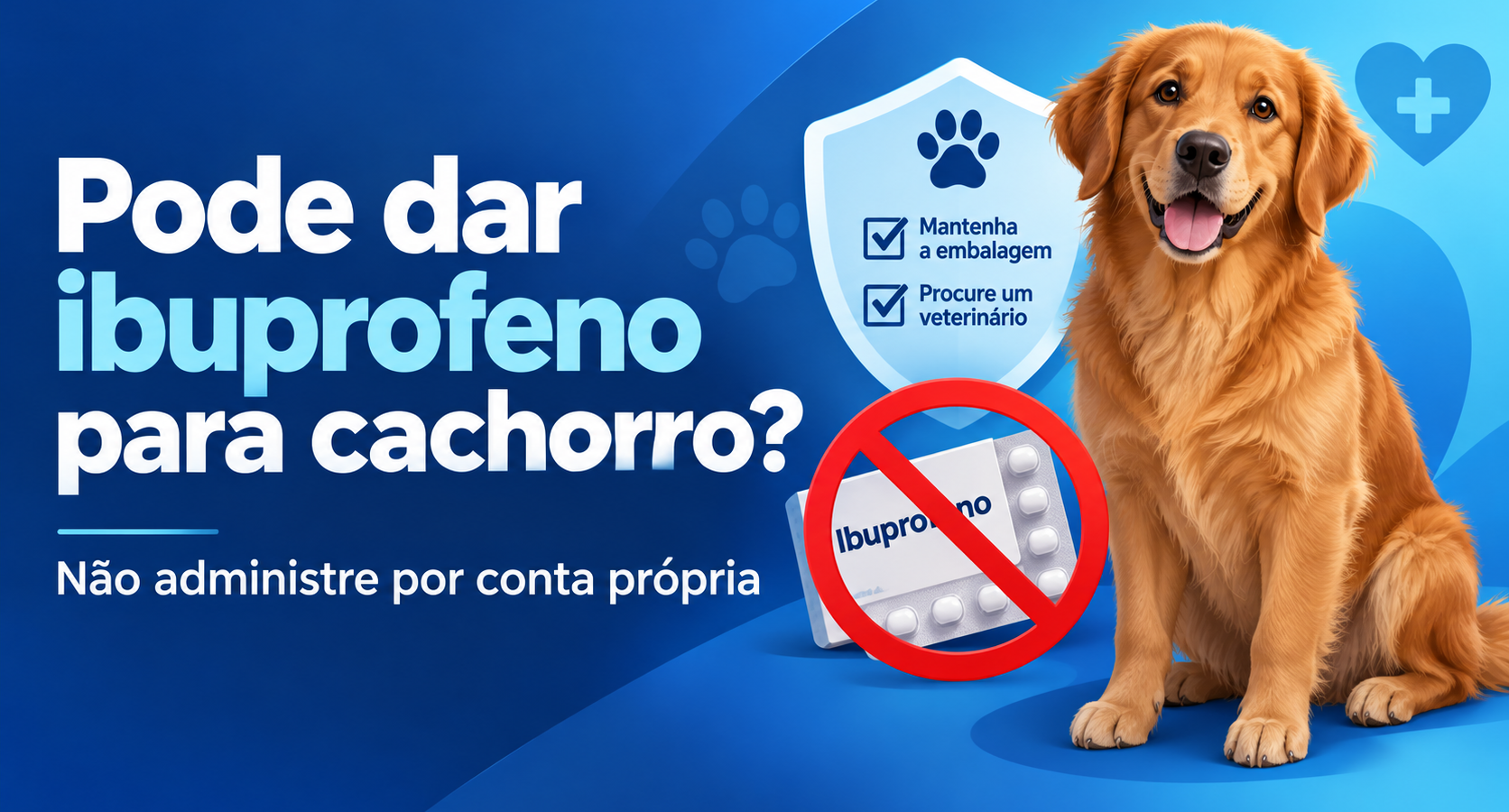Ilustração editorial de cachorro e aviso para não administrar ibuprofeno sem orientação veterinária