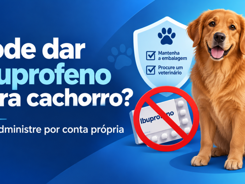 Ilustração editorial de cachorro e aviso para não administrar ibuprofeno sem orientação veterinária