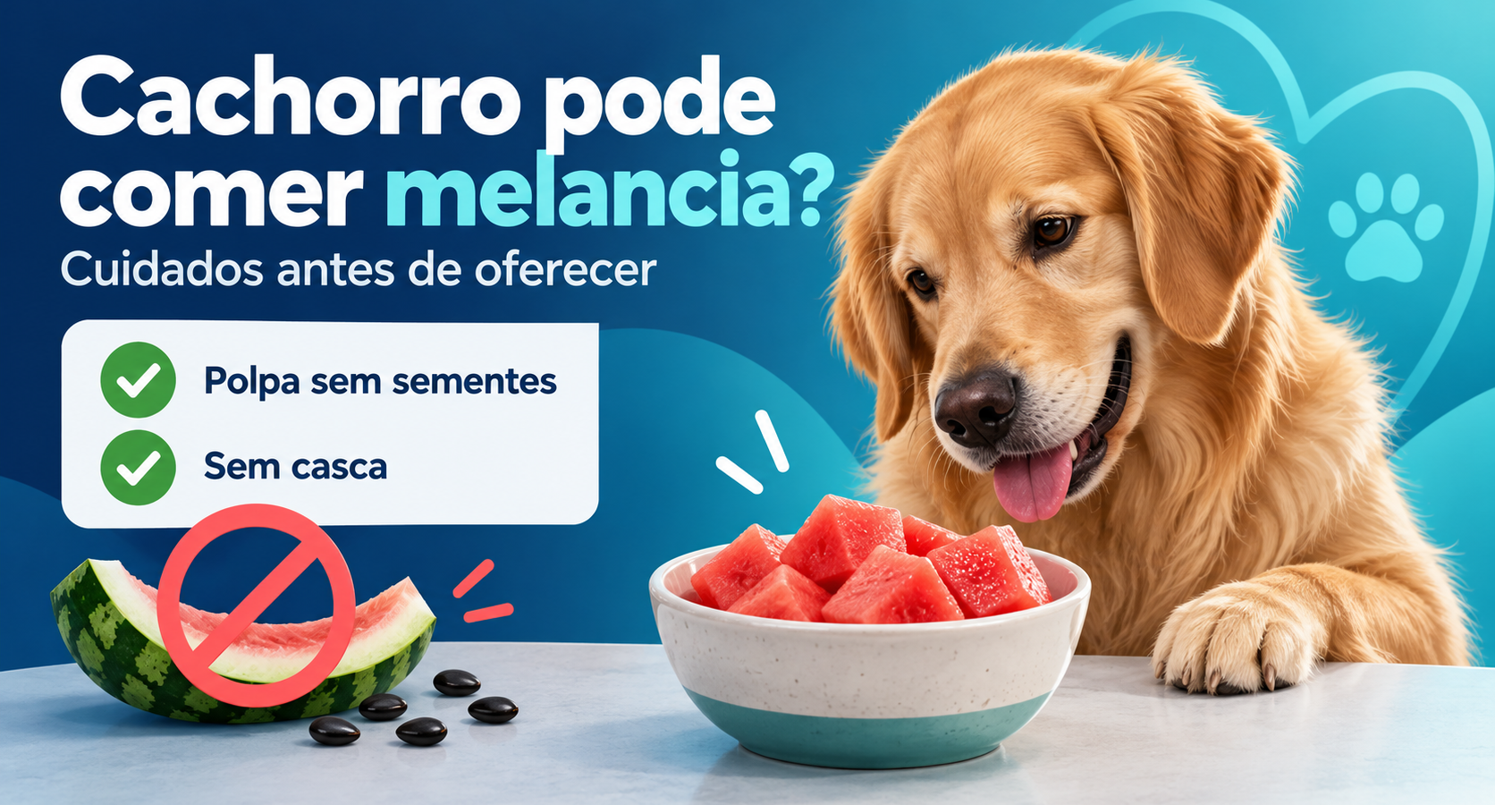 Ilustração editorial de cachorro, melancia sem sementes e aviso para não oferecer a casca