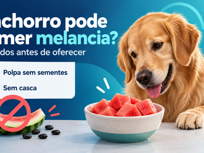 Ilustração editorial de cachorro, melancia sem sementes e aviso para não oferecer a casca