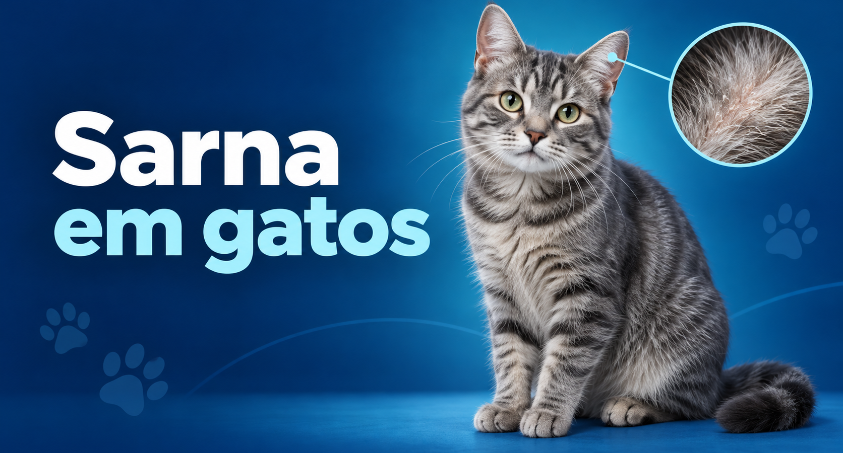 Ilustração editorial horizontal de gato tigrado com destaque gráfico na orelha para o tema sarna em gatos