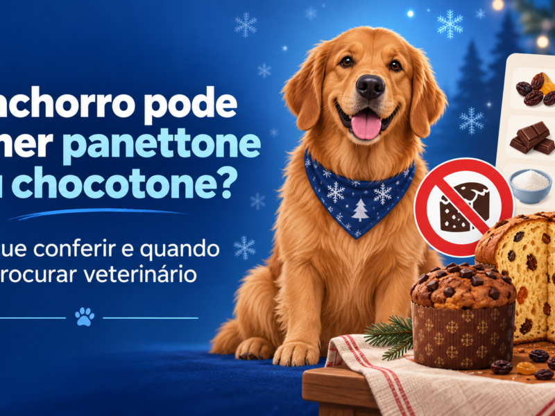 Ilustração editorial de cachorro ao lado de panettone e chocotone, com alerta para ingredientes que exigem atenção