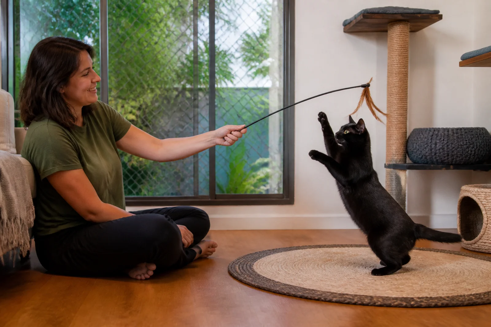 Gato Bombaim brincando com varinha em atividade supervisionada dentro de casa.