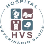 HVS - Logo Novo - Colorido - Alta Resolução