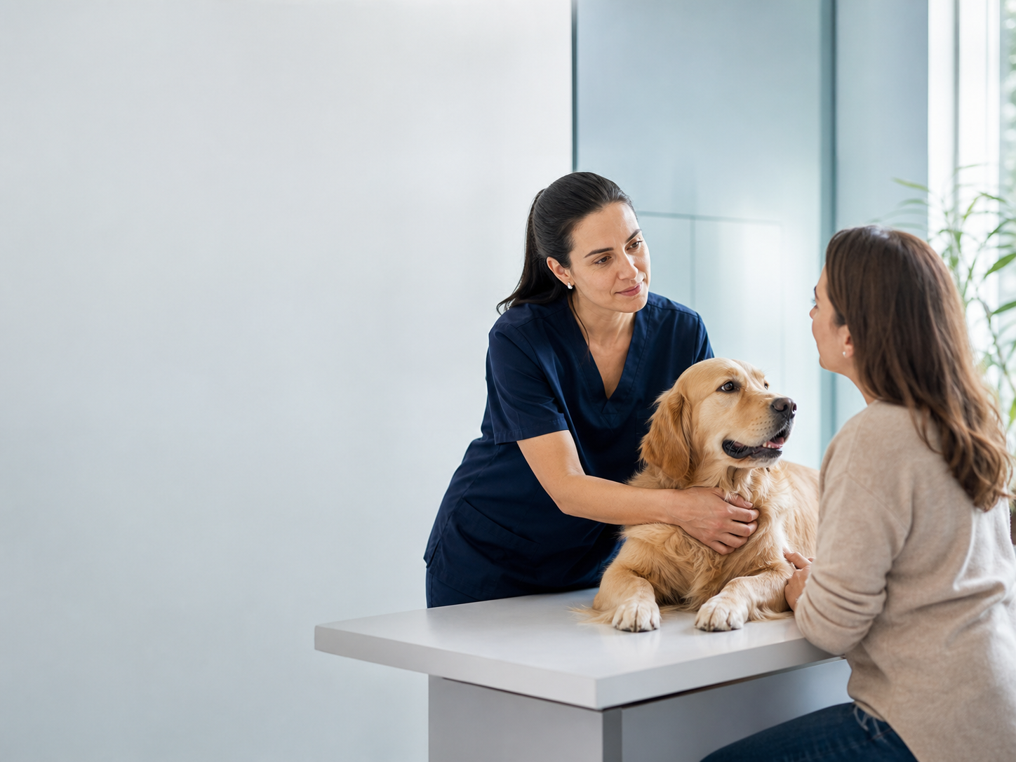 Consulta oncológica veterinária com tutora e cão